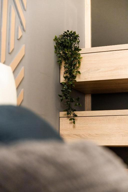 Deluxe Quentin Home Next To The Fashion Street 布达佩斯 外观 照片